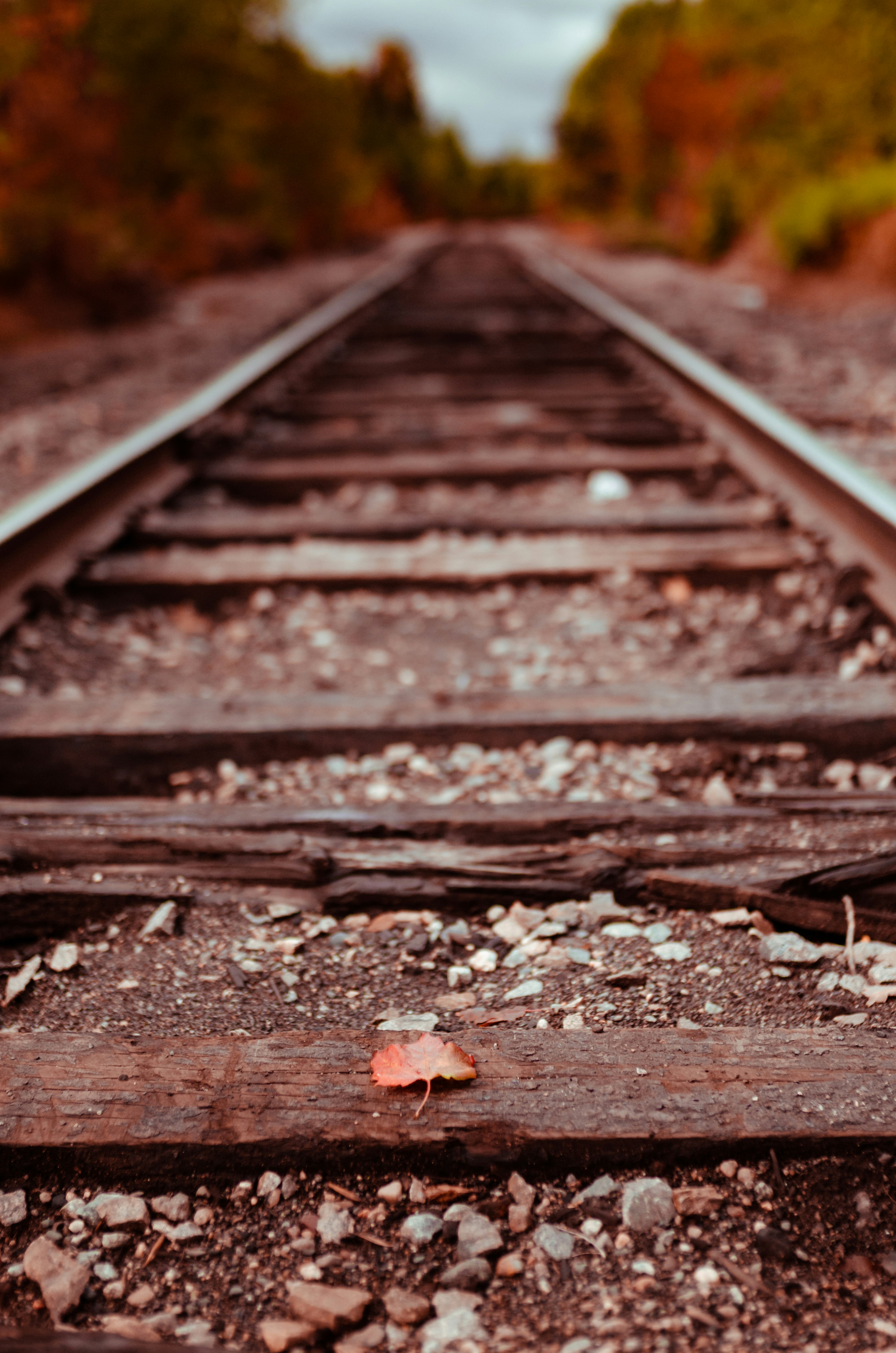 brown wooden train rail during daytime